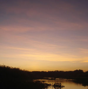 Meet your Posher, Winnie